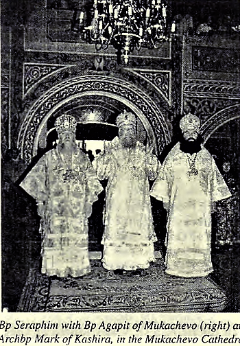 Mukachevo 1.png