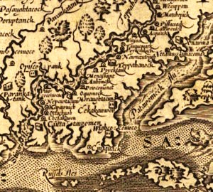 DetailNorthernNeck 1.jpg