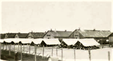 WW I internments 1.png