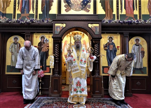 Bishop Alexander 2.png
