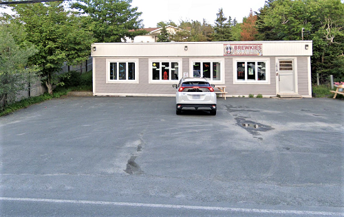 Our Lady of Vladimir Saint Johns NL 2.png